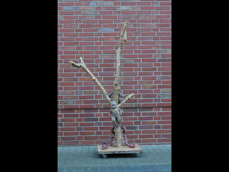 IMGP2842