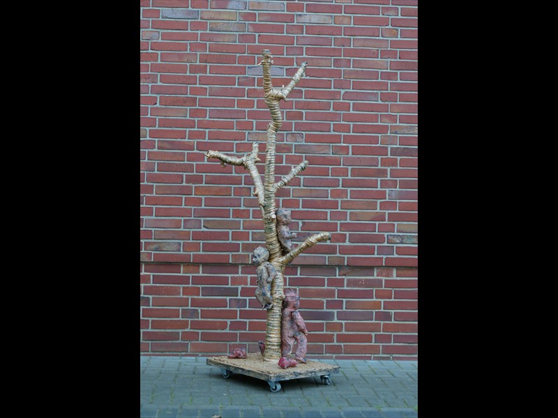 IMGP2843